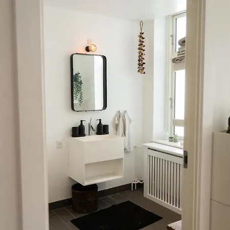 Spacious 6 Pax Kgs Nytorv Nyhavn Elevator Copenhagen
