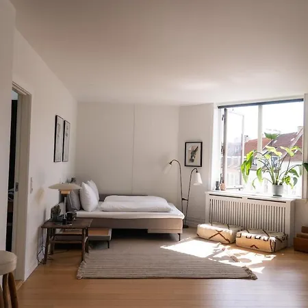 Spacious 6 Pax Kgs Nytorv Nyhavn Elevator Apartment *