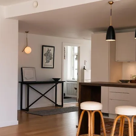 Spacious 6 Pax Kgs Nytorv Nyhavn Elevator Apartment Copenhagen