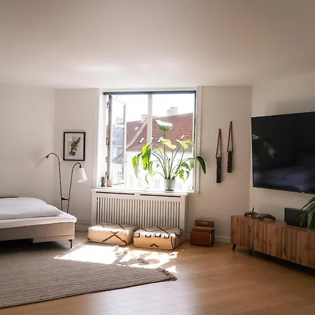 Apartment Spacious 6 Pax Kgs Nytorv Nyhavn Elevator